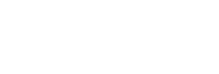logo Freedom of Mobility footer